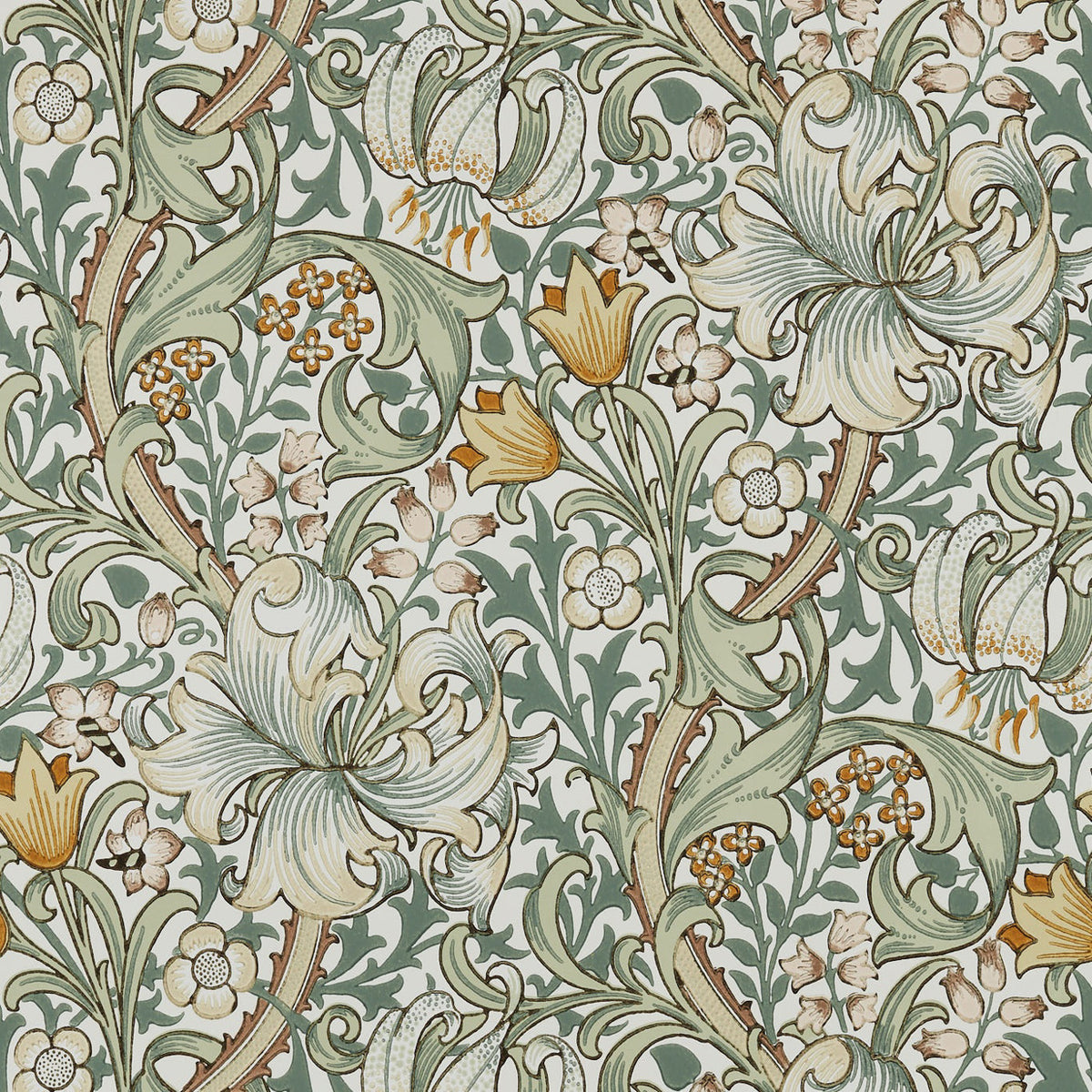 Morris & Co Golden Lily Sage MOW0168-02 Sample | 40% Off (Samples)