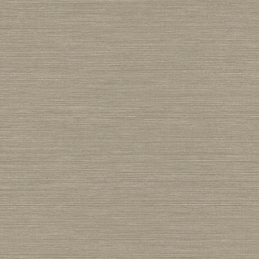 Maya Romanoff Wisping Weaves Montauk (54 Inch) Driftwood Wallpaper MR-FV-31099-54
