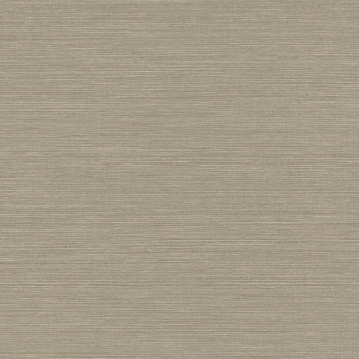 Maya Romanoff Wisping Weaves Montauk (54 Inch) Driftwood Wallpaper MR-FV-31099-54