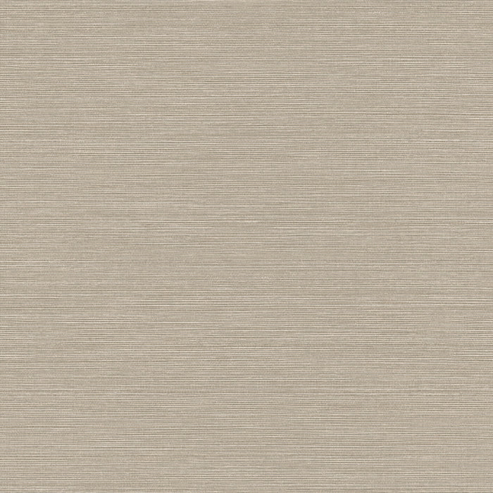 Maya Romanoff Wisping Weaves Montauk (54 Inch) Harbor Seal Wallpaper MR-FV-31389-54