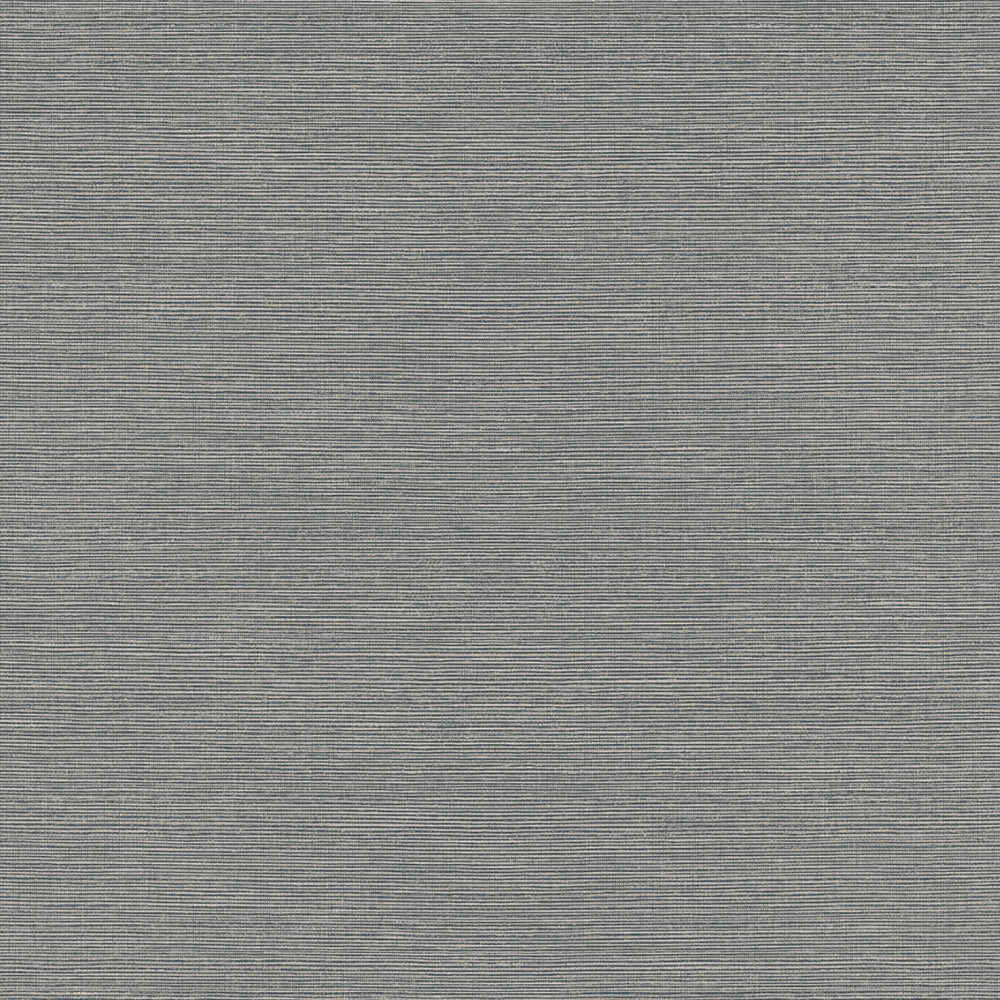 Maya Romanoff Wisping Weaves Montauk (54 Inch) Seaport Slate Wallpaper MR-FV-31X02-54