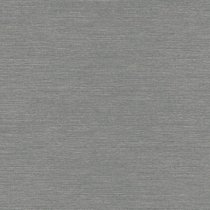 Maya Romanoff Wisping Weaves Montauk (54 Inch) Seaport Slate Wallpaper MR-FV-31X02-54