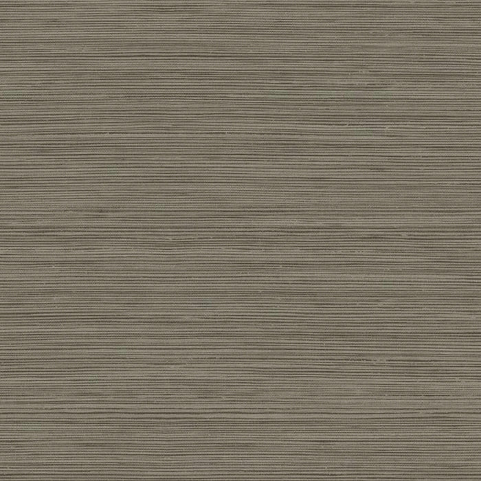 Maya Romanoff Wisping Weaves Santa Cruz (54 Inch) Bohemian Brown Wallpaper Sample MR-FV-32389-54