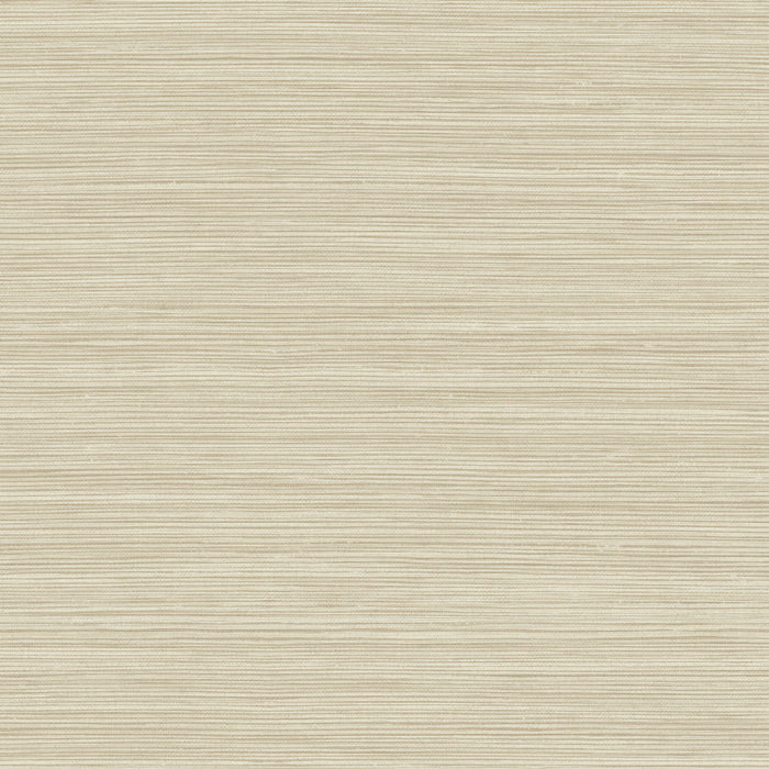 Maya Romanoff Wisping Weaves Santa Cruz (54 Inch) Cliffside Sand Wallpaper Sample MR-FV-32X14-54