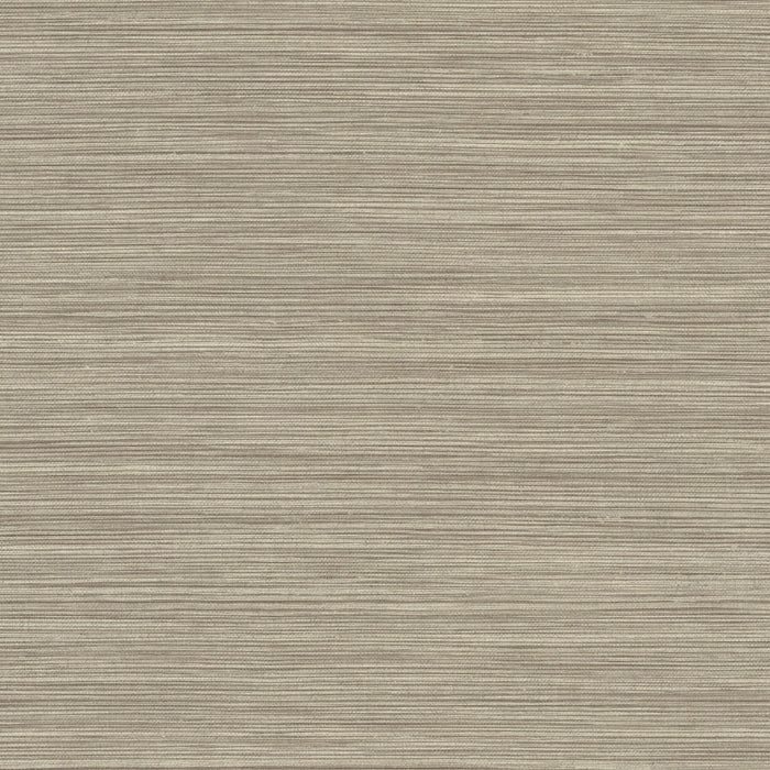 Maya Romanoff Wisping Weaves Outer Banks (27 Inch) Avocet Almond Wallpaper MR-FV-33389-27