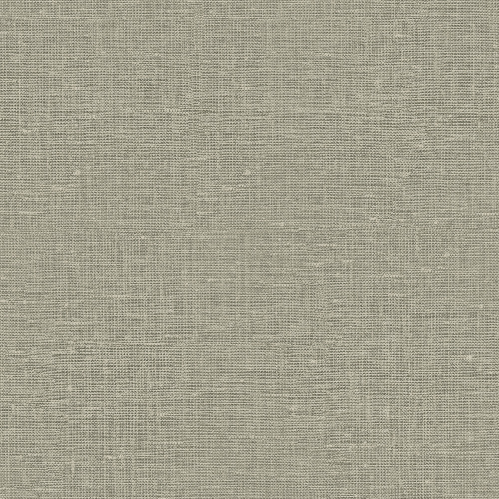 Maya Romanoff Entwine Inlet Linen (54 Inch) Gray Moray Wallpaper Sample MR-FV-38179-54