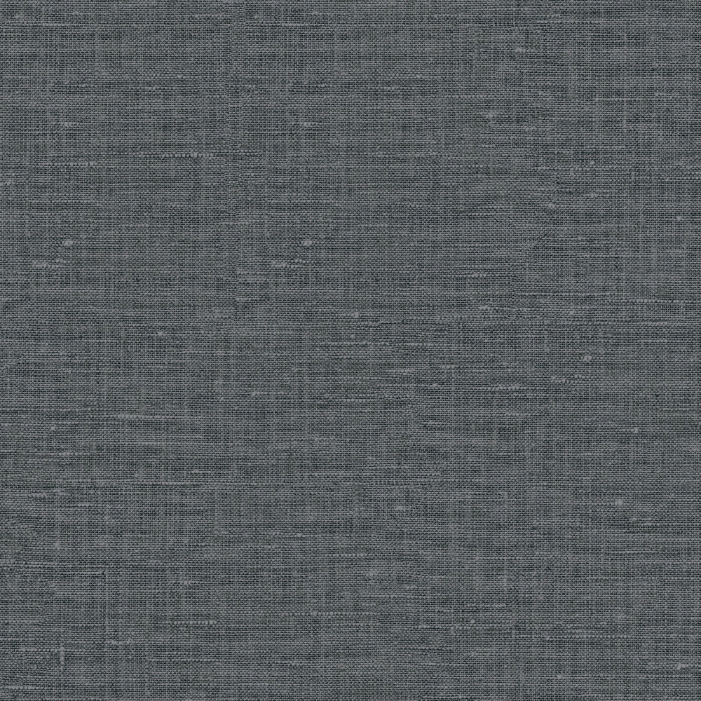 Maya Romanoff Entwine Inlet Linen (54 Inch) Carbon Cove Wallpaper Sample MR-FV-38X02-54