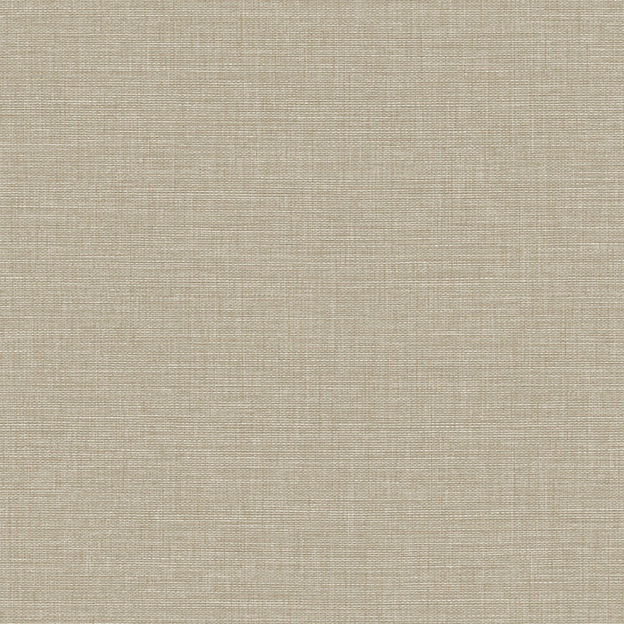 Maya Romanoff Wisping Weaves Cape May Straw Hat Tan Wallpaper Sample MR-FV-39169
