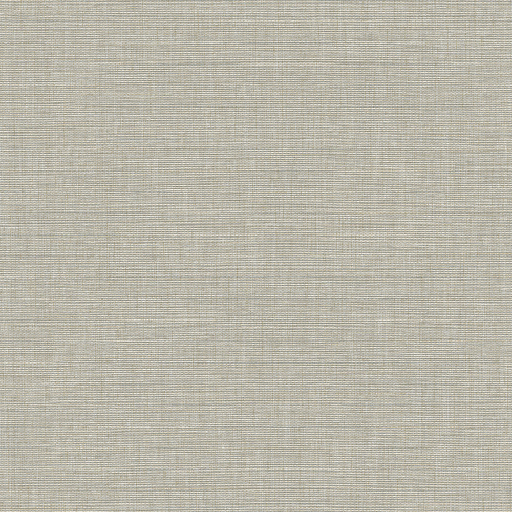 Maya Romanoff Wisping Weaves Cape May Silver Sand Dollar Wallpaper Sample MR-FV-39179