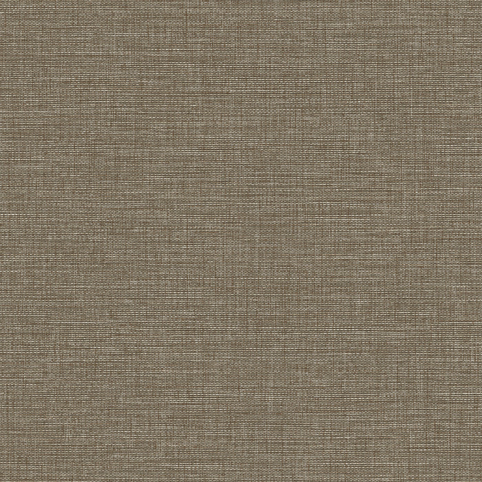 Maya Romanoff Wisping Weaves Charleston (54 Inch) Seagull Gray Wallpaper Sample MR-FV-35176-54