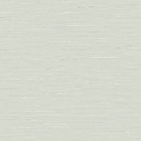 Maya Romanoff Entwine Serene Silk (54 Inch) Glacier Gray Wallpaper MR-FV-40500-54