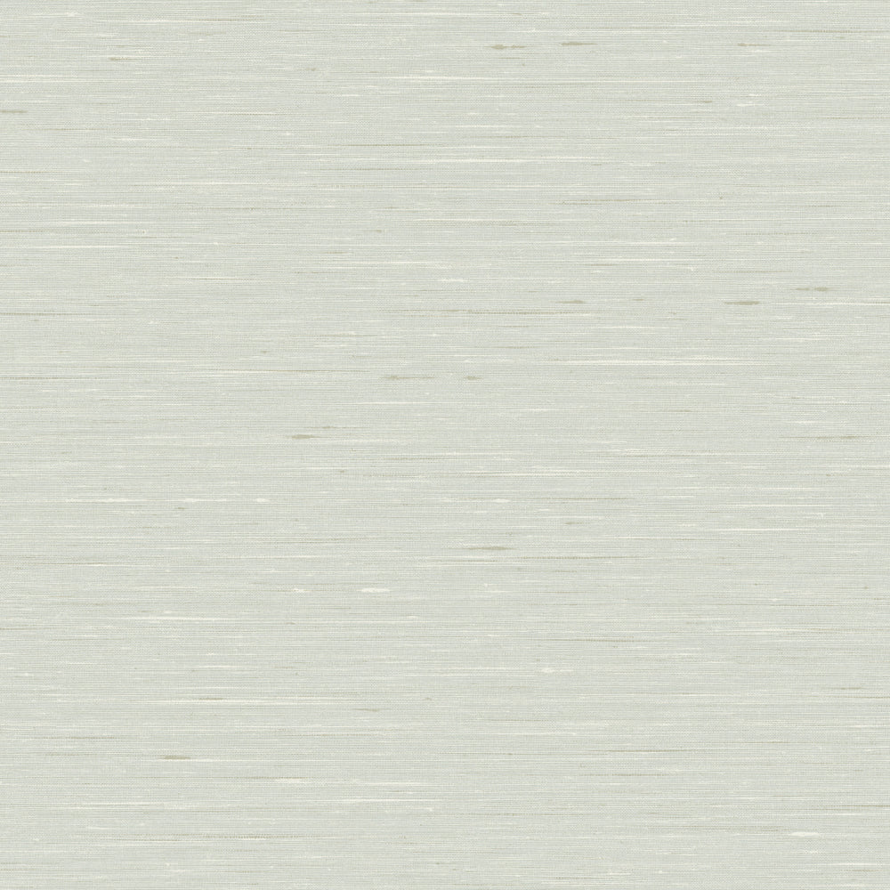 Maya Romanoff Entwine Serene Silk (54 Inch) Glacier Gray Wallpaper Sample MR-FV-40500-54