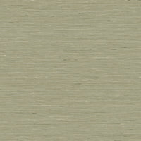Maya Romanoff Entwine Serene Silk (27 Inch) Everglade Green Wallpaper MR-FV-40667-27