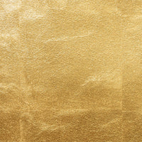 Maya Romanoff Rooted Grove (27 Inch) Birchwood Bark Wallpaper MR-FV-27X14-27