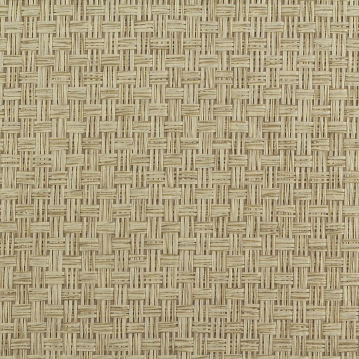 Maya Romanoff Island Weaves Sea Turtle Wallpaper Sample MR-TY-2030