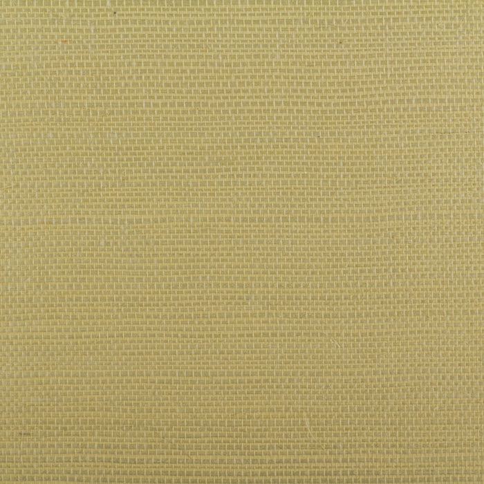 Maya Romanoff Island Weaves Seagrass Wallpaper Sample MR-TY-2049