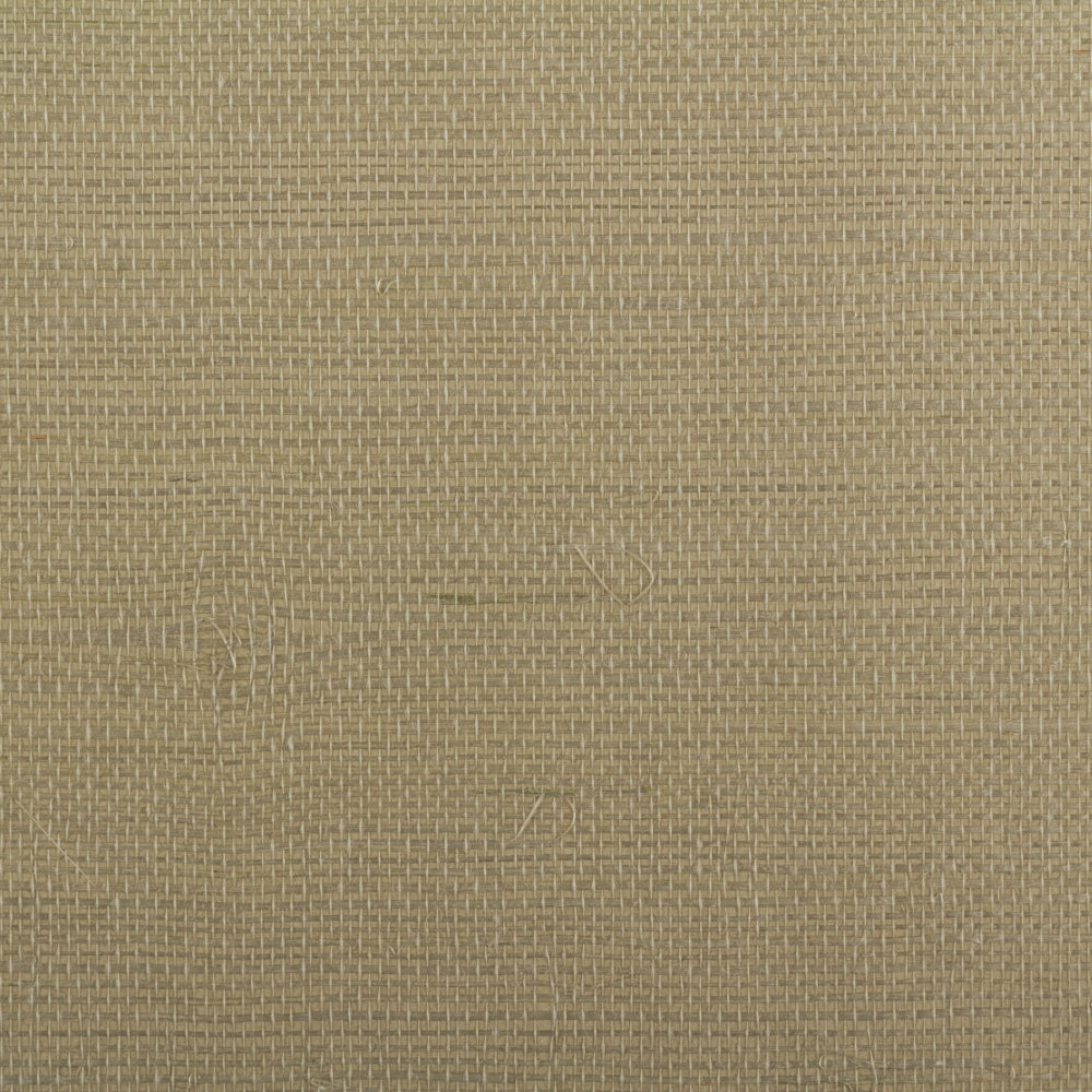 Maya Romanoff Island Weaves Palm Wallpaper Sample MR-TY-2063