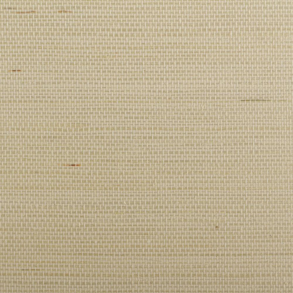 Maya Romanoff Island Weaves Water Wings Wallpaper Sample MR-TY-2081