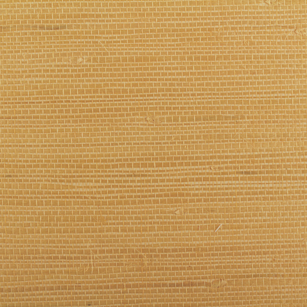 Maya Romanoff Island Weaves Seahorse Wallpaper Sample MR-TY-2102