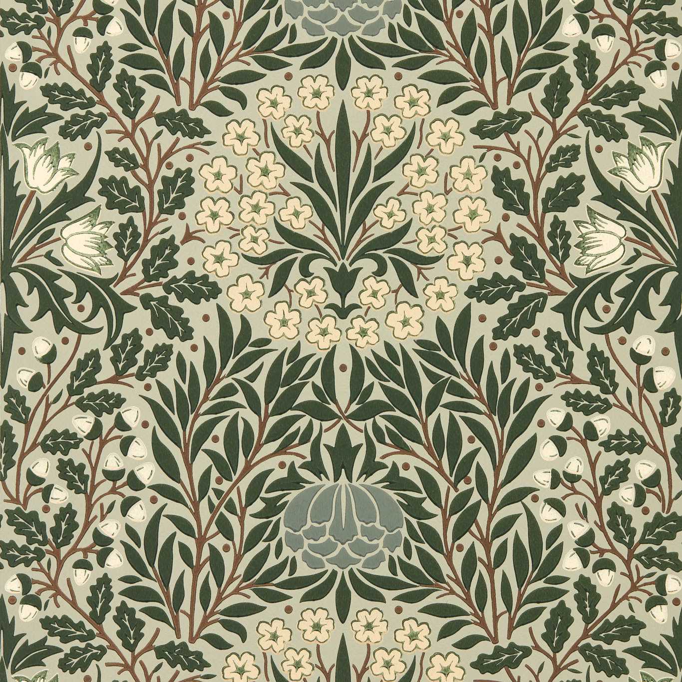 Morris & Co Daisy & Oak Sage/Forest Wallpaper Sample MUNW217585