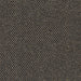 Brentano Manuscript Tortie Cat Fabric 8935-05