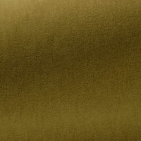 Pierre Frey Bold Fougere Fabric F3212007