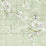 Nicolette Mayer Blossom Fantasia - Sheer Celadon Fabric Sample N4BL101055