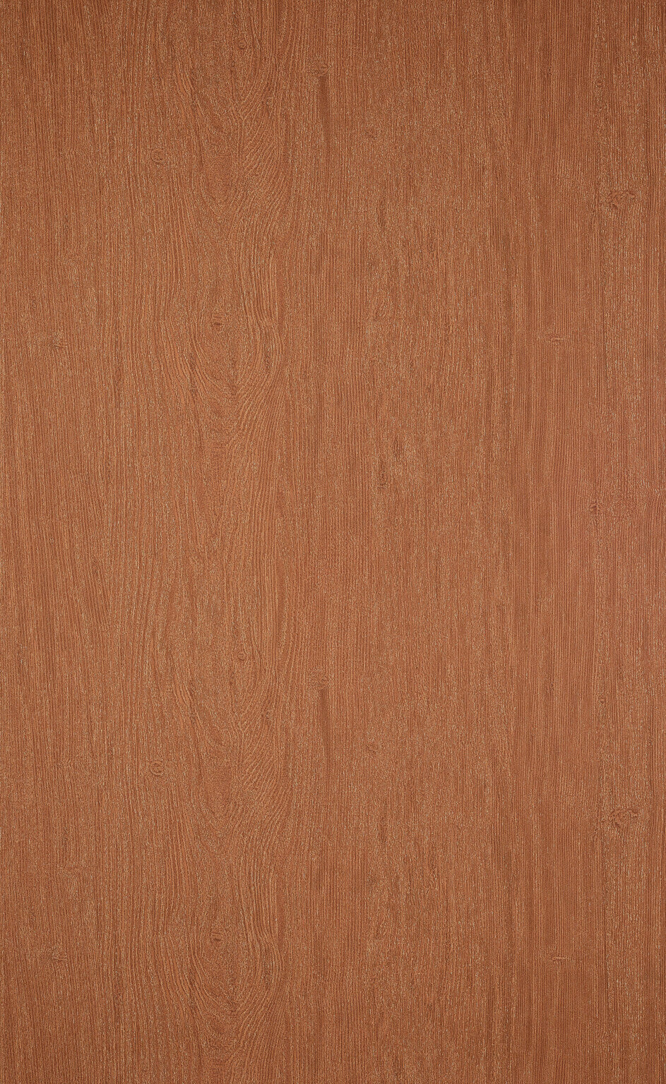 Pierre Frey Woody Bananier Wallpaper Sample FP529014