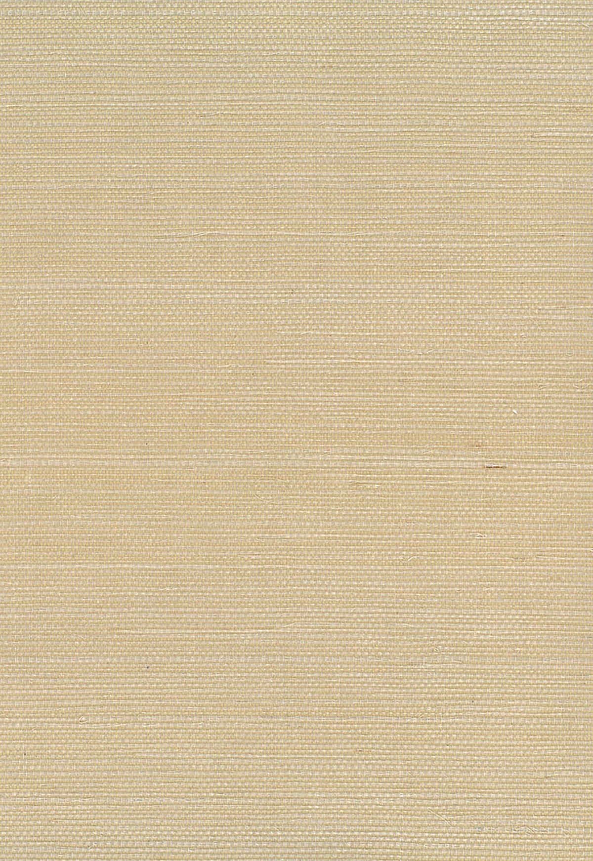 Seabrook Designs Sisal Neutrals Wallpaper Sample NA206