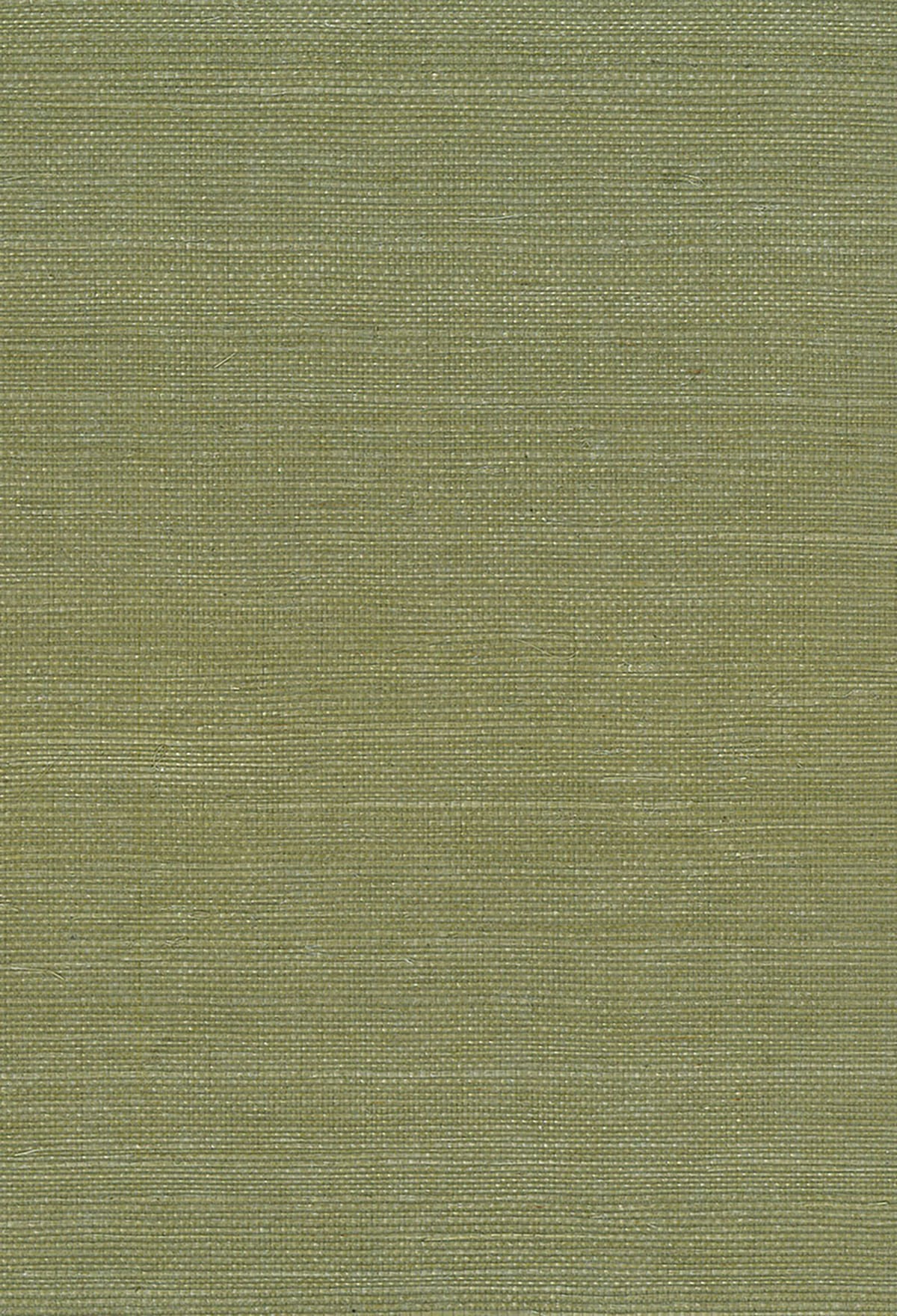 Seabrook Designs Sisal Green Wallpaper Sample NA208