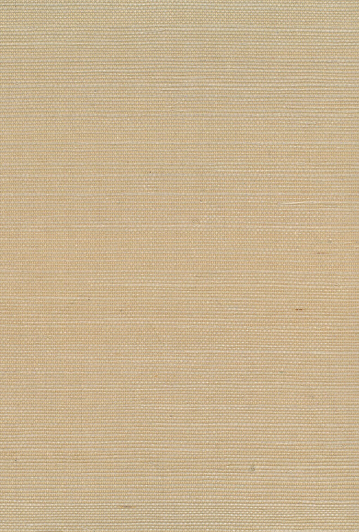 Seabrook Designs Sisal Neutrals Wallpaper Sample NA219