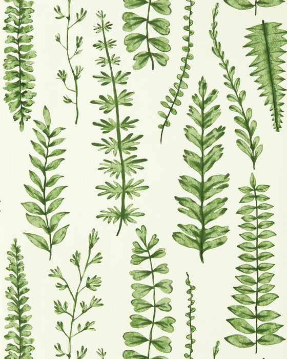 Scion Ferns Juniper Wallpaper NART112798.SCN.0