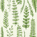 Scion Ferns Juniper Wallpaper NART112798.SCN.0