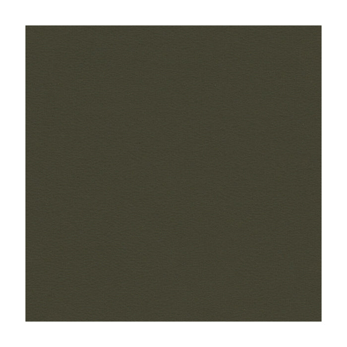 Kravet Smart NEWT.21.0 Newt-21 Fabric