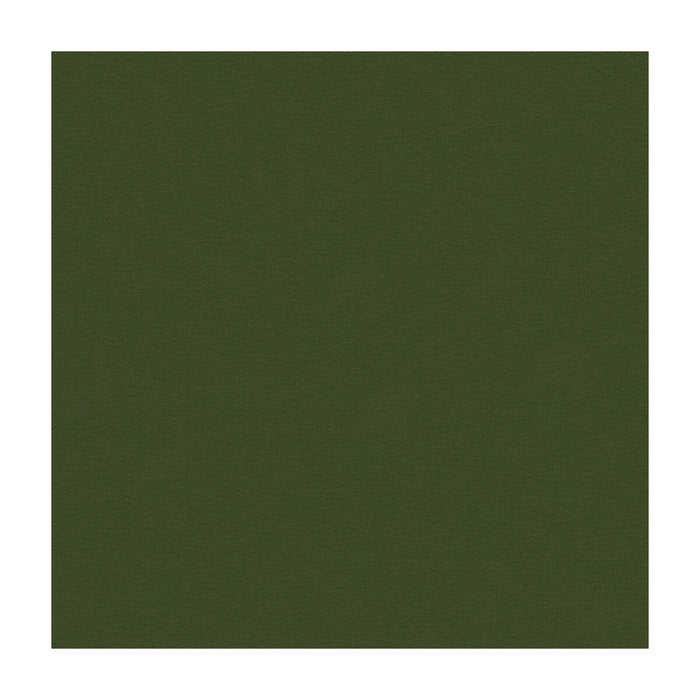 Kravet Smart NEWT.303.0 Newt-303 Fabric