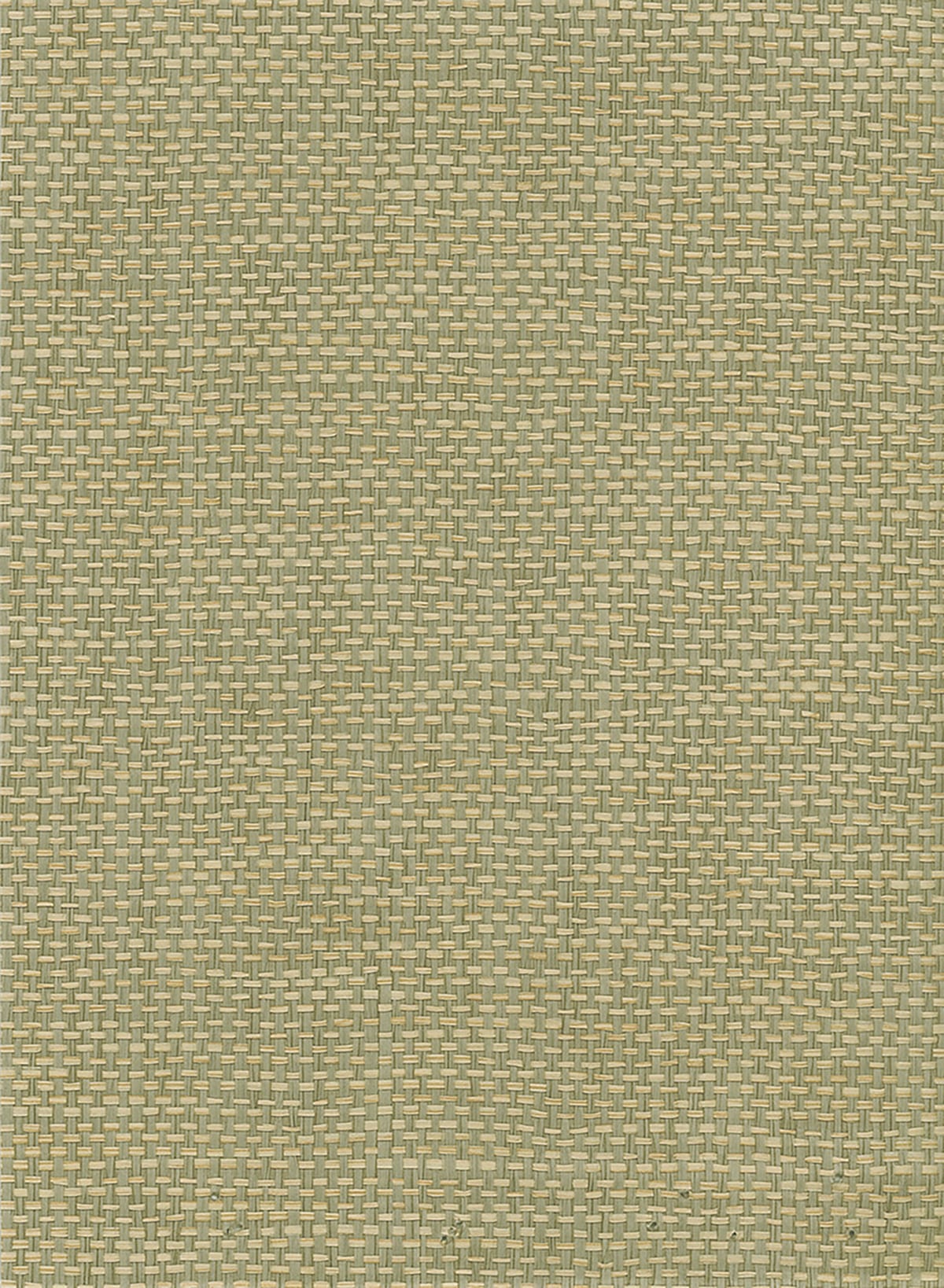 Seabrook Designs Paperweave Green, Tan Wallpaper Sample NR107X
