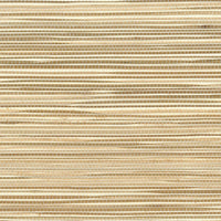 Seabrook Designs Boodle Brown Wallpaper NR127X
