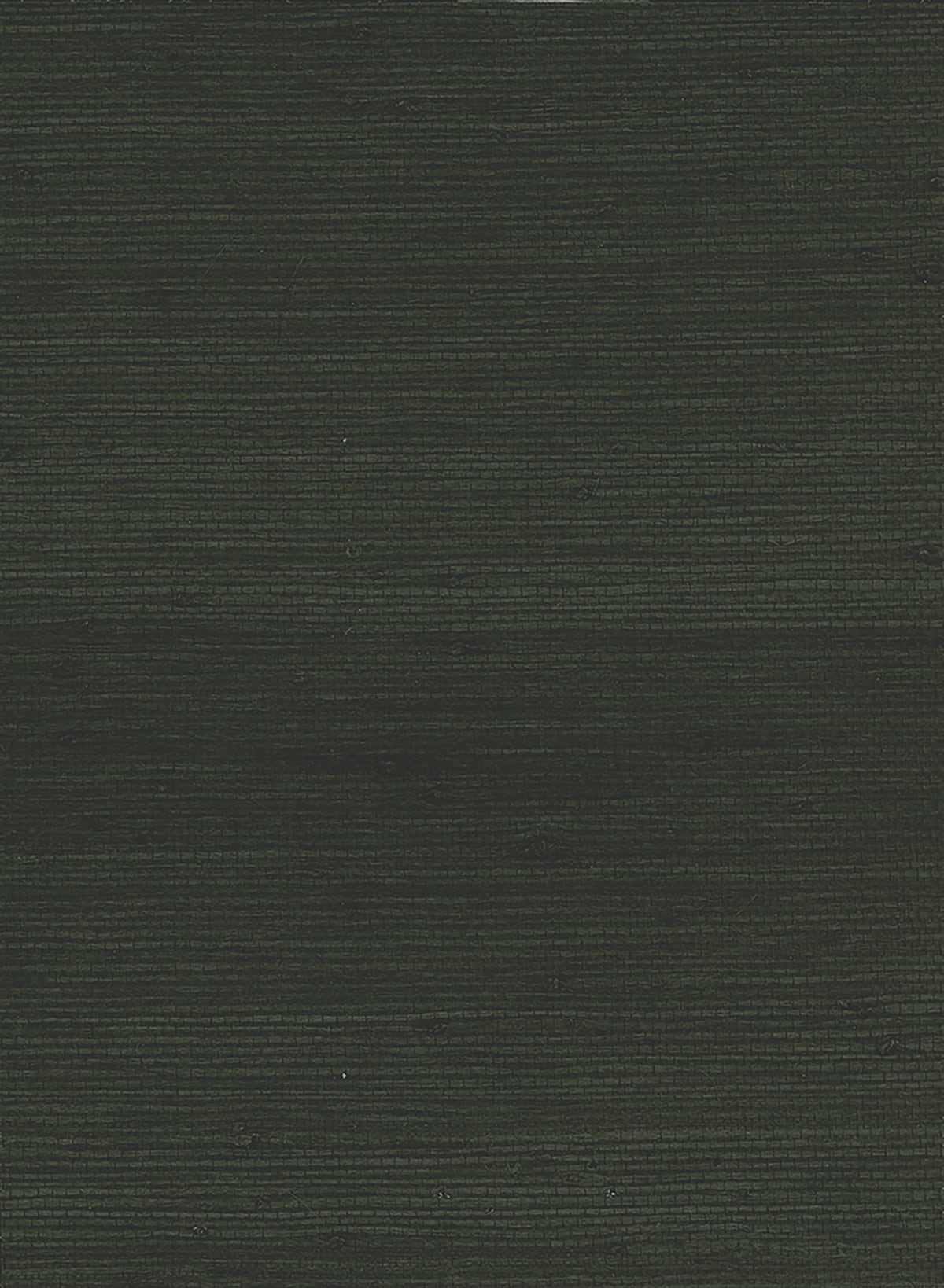 Seabrook Designs Jute Black Wallpaper Sample NR146X