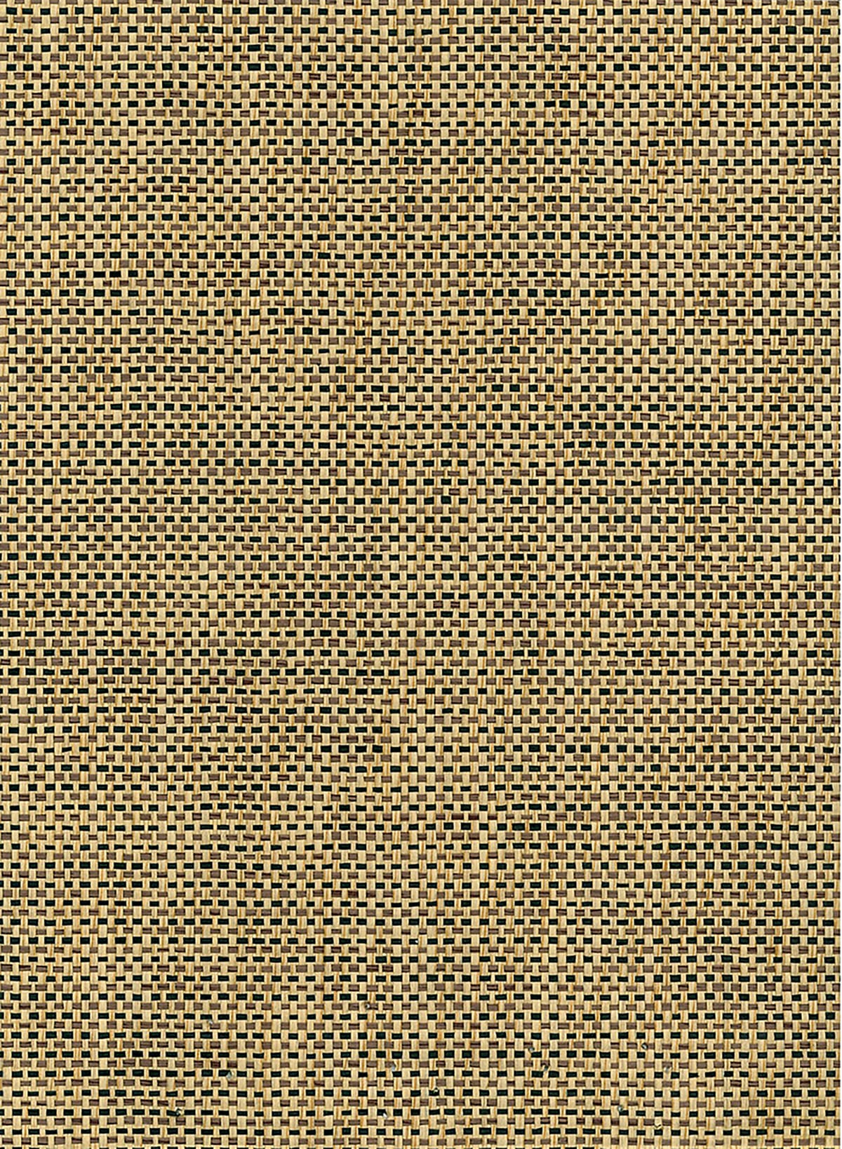 Seabrook Designs Paperweave Black, Tan Wallpaper Sample NR200X