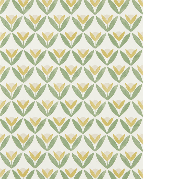 Scion Tulip Trellis Wp Honey Wallpaper Sample NSCW113256.SCN.0