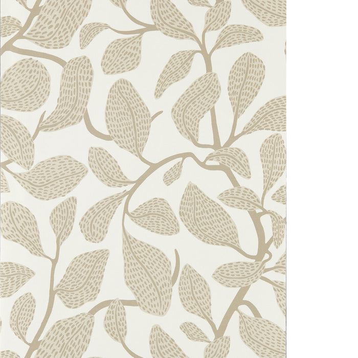 Scion Sweet Bay Wp Stone Wallpaper Sample NSCW113270.SCN.0