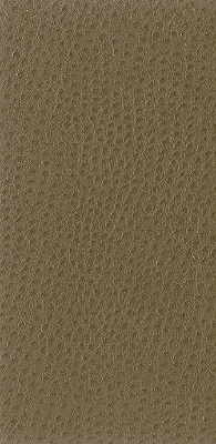 Kravet Basics NUOSTRICH.106.0 Nuostrich-106 Fabric Sample