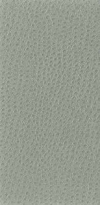 Kravet Basics NUOSTRICH.11.0 Nuostrich-11 Fabric Sample