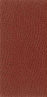 Kravet Basics NUOSTRICH.24.0 Nuostrich-24 Fabric