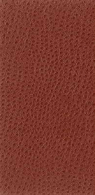 Kravet Basics NUOSTRICH.24.0 Nuostrich-24 Fabric Sample