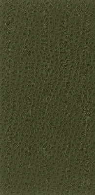 Kravet Basics NUOSTRICH.30.0 Nuostrich-30 Fabric Sample
