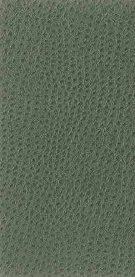 Kravet Basics NUOSTRICH.3.0 Nuostrich-3 Fabric