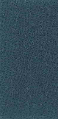 Kravet Basics NUOSTRICH.5.0 Nuostrich-5 Fabric Sample