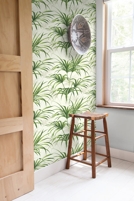 NextWall Tropical Palm Leaf Green And Off-white Wallpaper NW32504