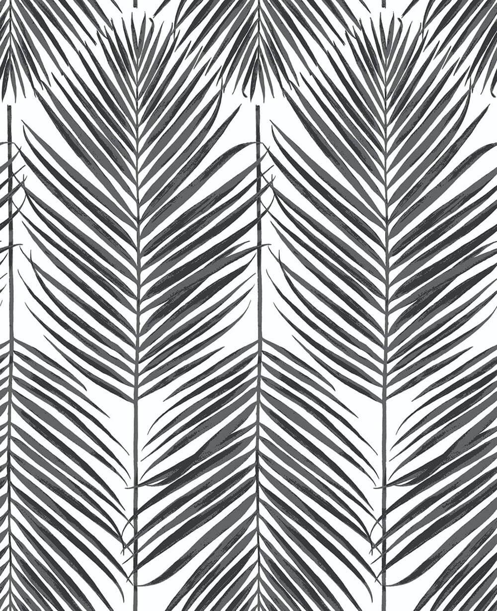 NextWall Paradise Palm Ebony Wallpaper Sample NW33000